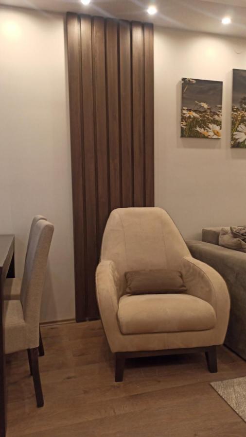Apartment Dana Banja Koviljača 외부 사진